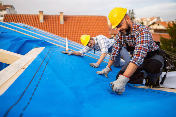 Best Storm Damage Roof Repair  in Chester, WV